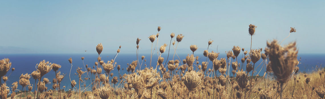 安卓ddos攻击工具